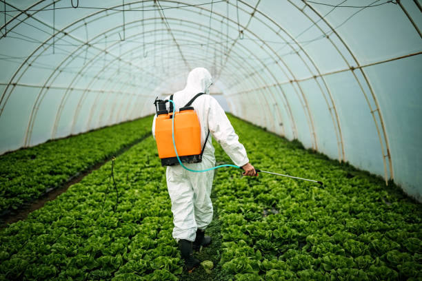 Trusted Islandia, NY Pest Control Experts