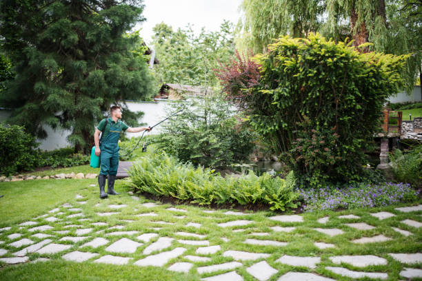 Best Insect Control  in Islandia, NY