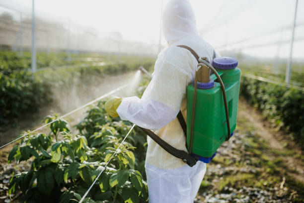 Best Best Pest Control Companies  in Islandia, NY